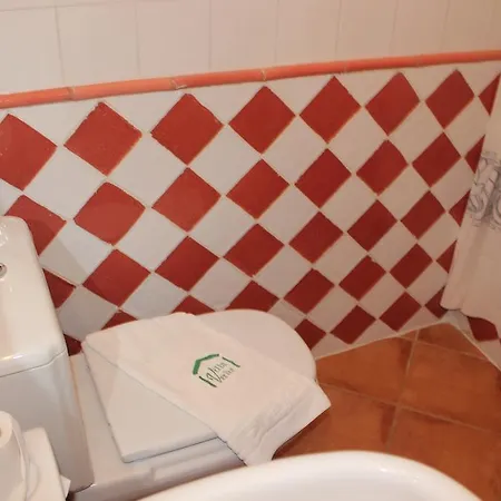 Verde-adults Only